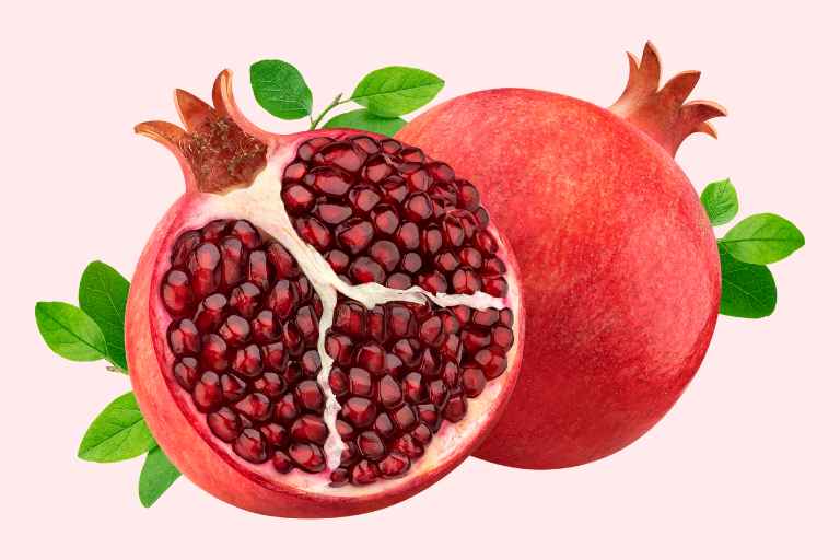 석류나무 화분 키우기 과정과 9가지 효능