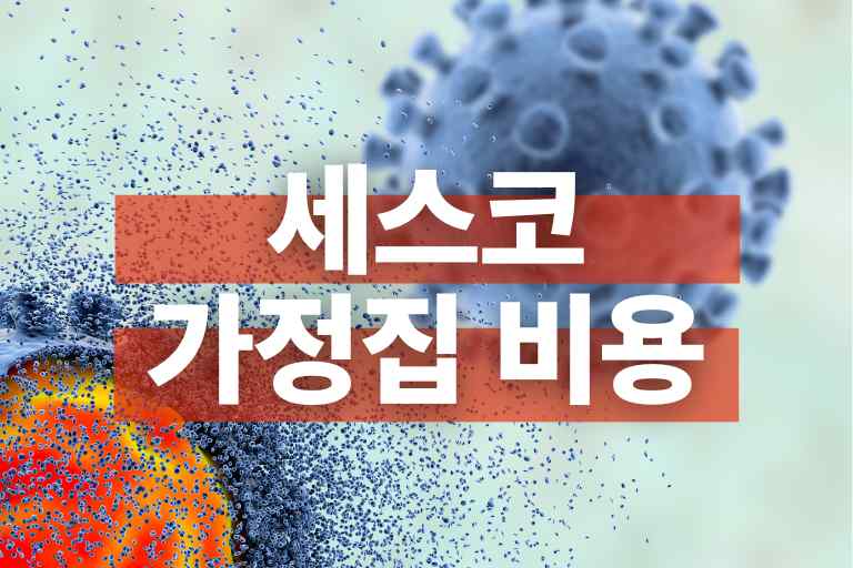 세스코 가정집 비용 2만원대부터