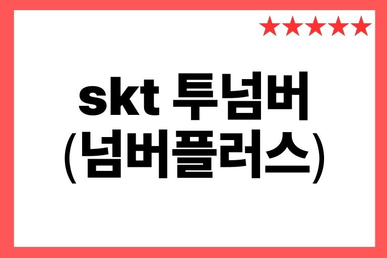 skt 투넘버 번호 확인(넘버플러스) 1폰 2번호 사용