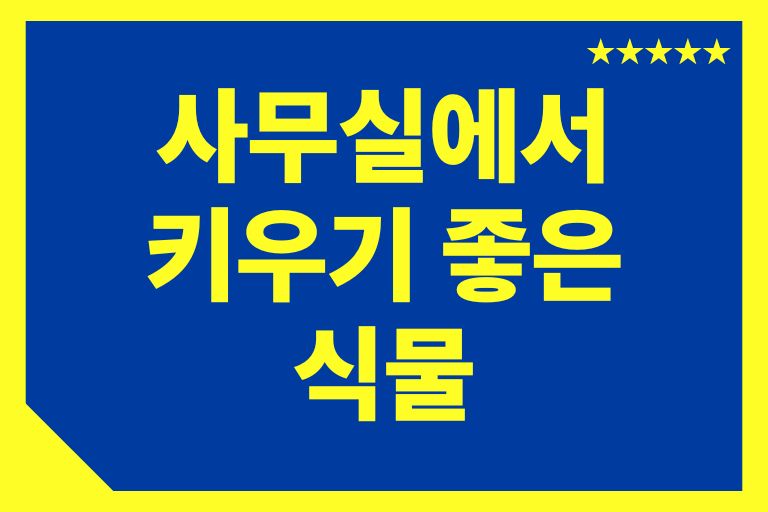 사무실에서 키우기 좋은 식물 인테리어 공기정화