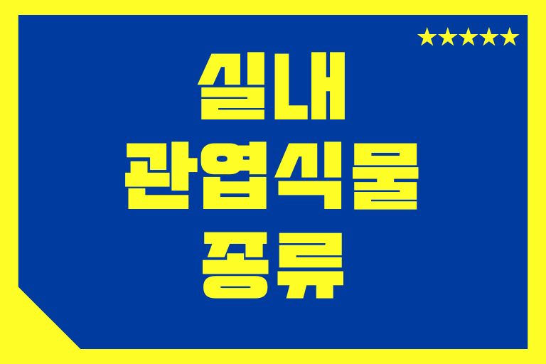 실내 관엽식물 종류