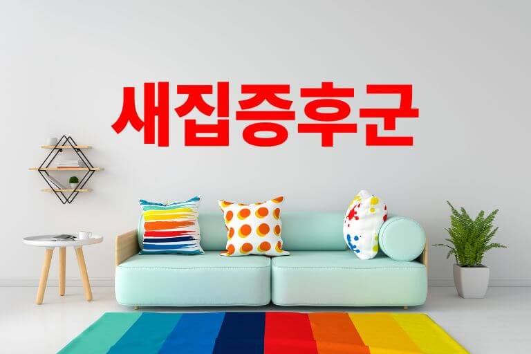 건강한 실내 생활을 위한 새집증후군제거방법 9가지 플러쉬 아웃 베이크 아웃 공기정화식물