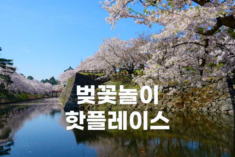 벚꽃놀이 핫플레이스