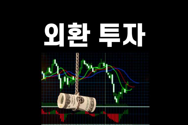 외환 투자 방법