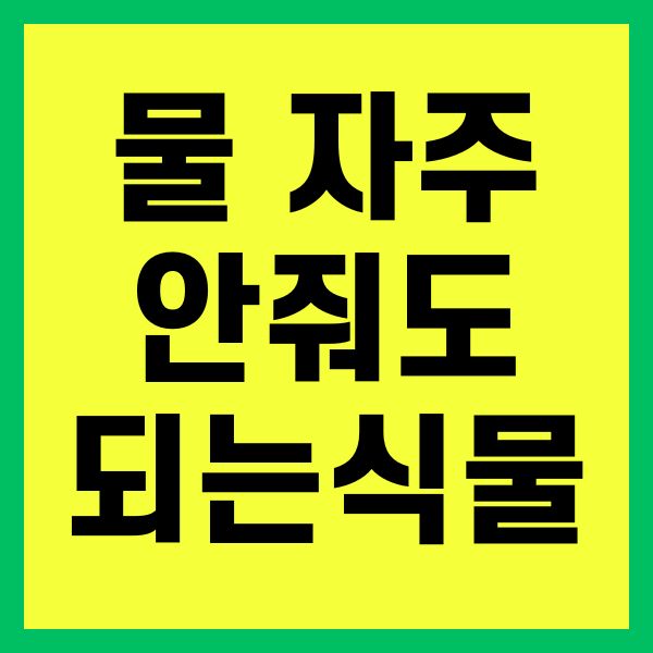 물 안줘도 되는 식물
