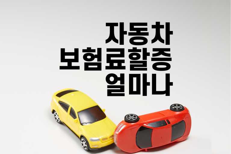 자동차 보험료 할증 얼마나