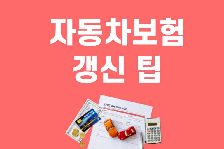 자동차보험 갱신 팁