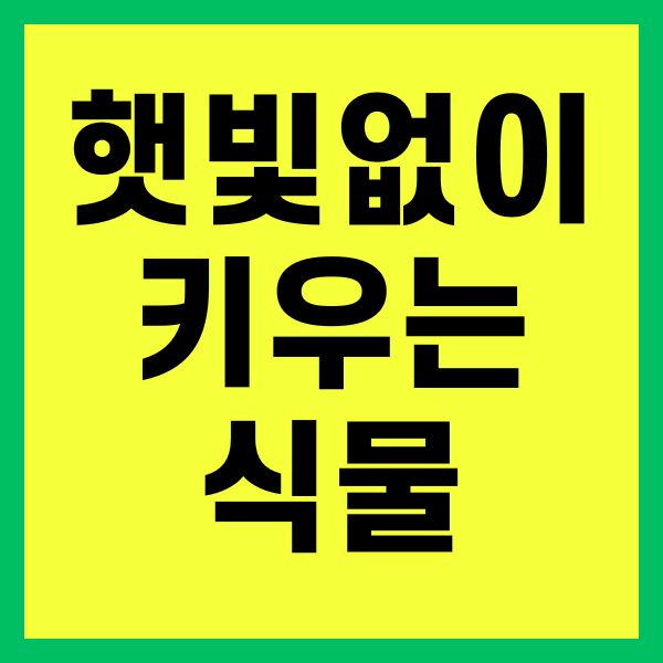 햇빛없이 키우는 식물