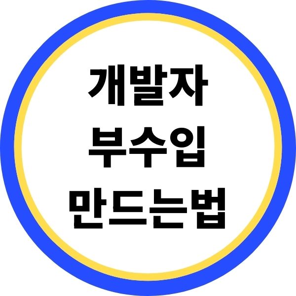 개발자 부수입
