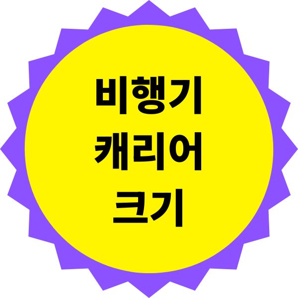 비행기 캐리어 크기