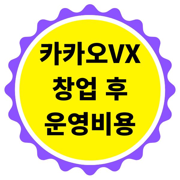 카카오VX 창업 후 운영 비용 상세