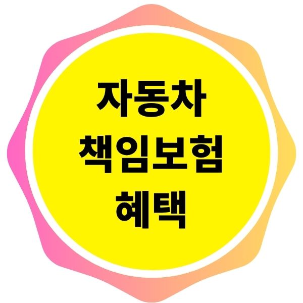 자동차 책임보험 100% 이해, 보험료 45% 절약하는법